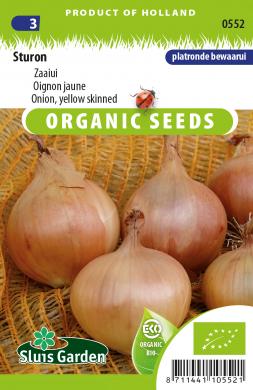 Onion Sturon BIO (Allium cepa) 215 seeds